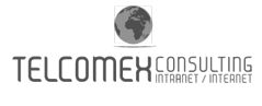 Année 2000 Telcomex Consulting